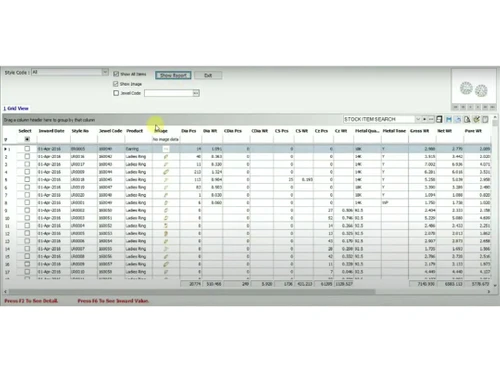 smart jewel erp-report