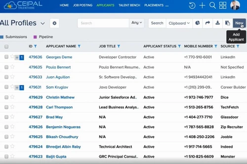 CEIPAL Workforce profile