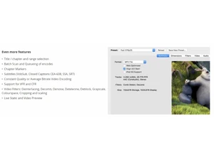 handbrake more features