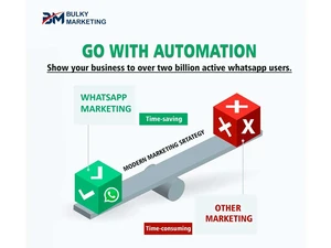 bulky marketing whatsapp