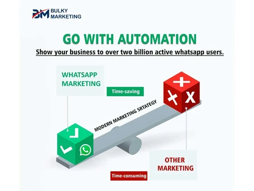 bulky marketing whatsapp
