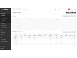 cronberry CRM-audience