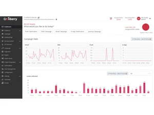 cronberry CRM url-shortner