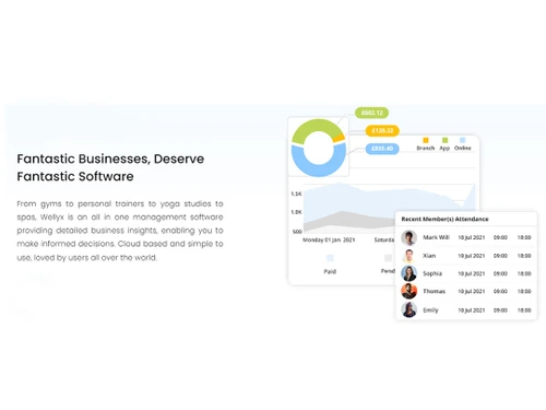 wellyx business software