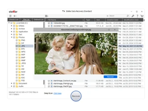 stellar data recovery-standard