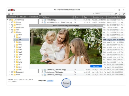 stellar data recovery-standard