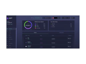 ambire wallet-balance