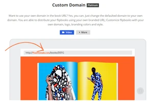 anyflip custom domain