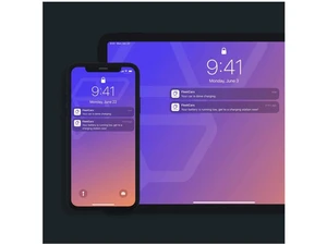 flutterflo push notification