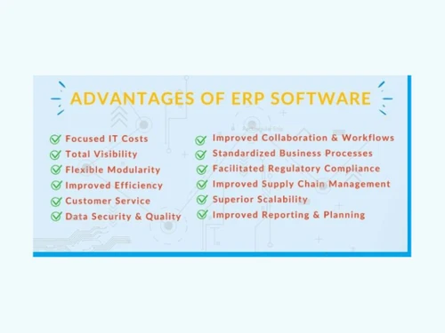 DNS ERP-costs
