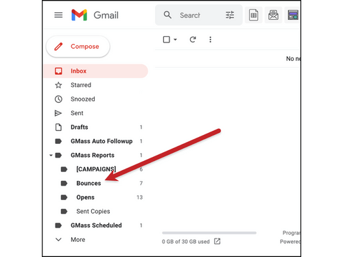 gmass bounce management