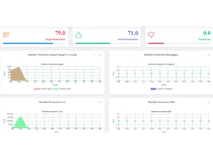 peacksoft-erp-report