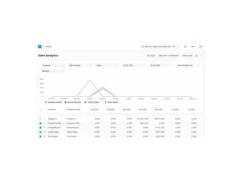 thirvu erp analysis