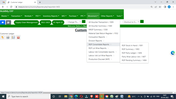 mummy erp software consolidate report
