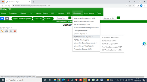 mummy erp software consolidate report