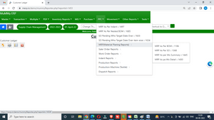 mummy erp software mrp