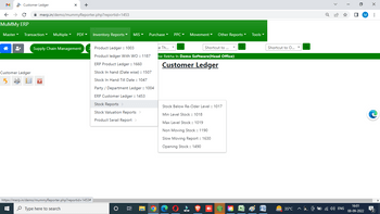 mummy erp software stock reports