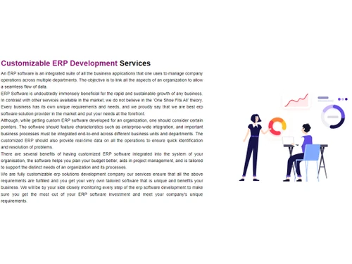 absolute erp customizable