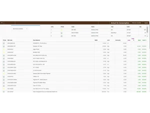 webcity erp actual vs consumption