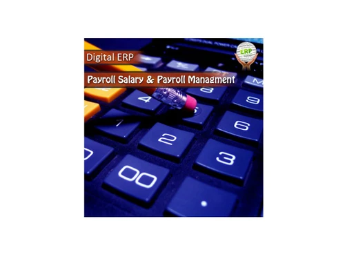 digitalerp payroll
