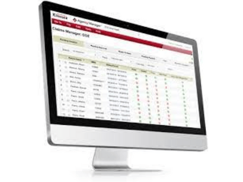 Kinnser Agency Manager dashoard