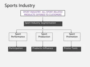 Sports Management-products