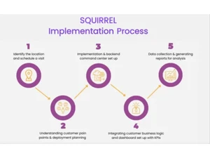 squirrel vision-process