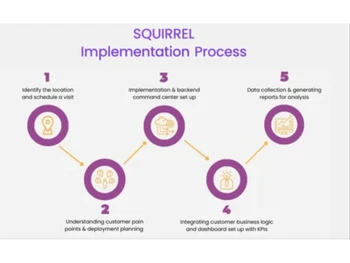 squirrel vision-process