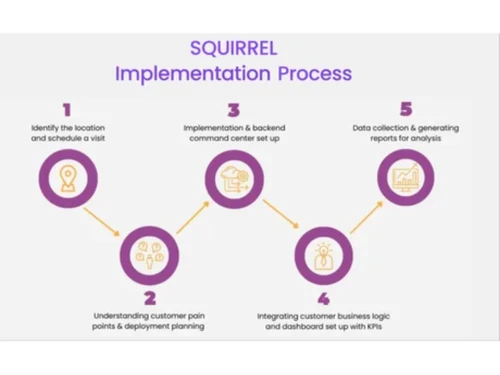 squirrel vision-process