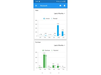 royalsoft erp-account
