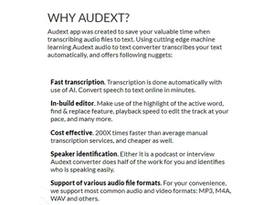 audext features