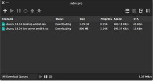 ninja download manager download status