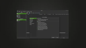 ugetdm setting panel