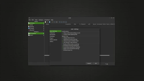 ugetdm setting panel