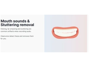 cleanvoice mouth sound & shuttering removal