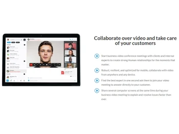 vidyo collaboration over video call
