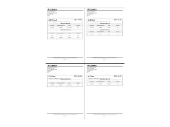 geminatec invoices