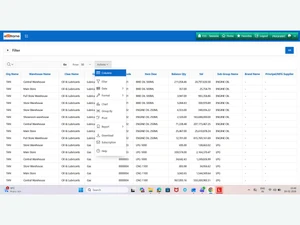 ebizframe ERP reports