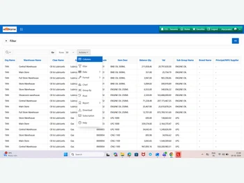ebizframe ERP reports
