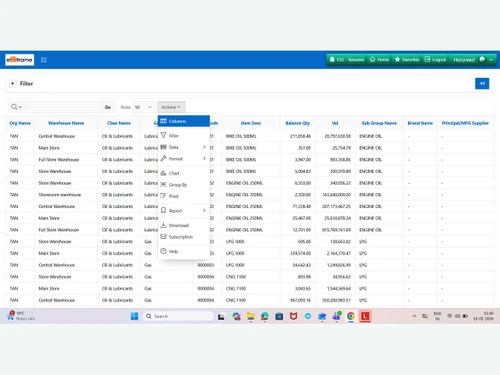 ebizframe ERP reports