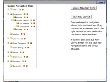 Savvy Content Manager