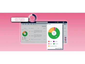 Info-Graphic Team Report