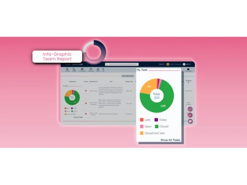 Info-Graphic Team Report