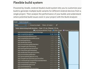 Android Studio Flexible build system