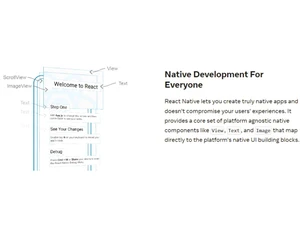 React Native Development for Everyone