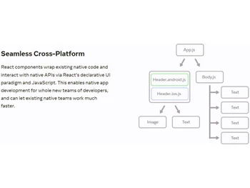 React Native Seamless cross platform