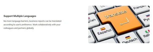 oz report multilanguage support