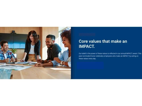 Nvivo core value that make an IMPACT.
