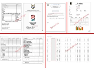simplex school management-report