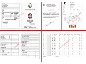 simplex school management-report